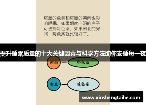 提升睡眠质量的十大关键因素与科学方法助你安睡每一夜