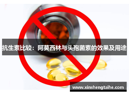 抗生素比较：阿莫西林与头孢菌素的效果及用途